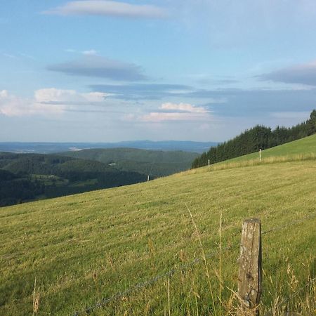 Cosy Apartment Over Usseln With Private Terrace Willingen  Luaran gambar