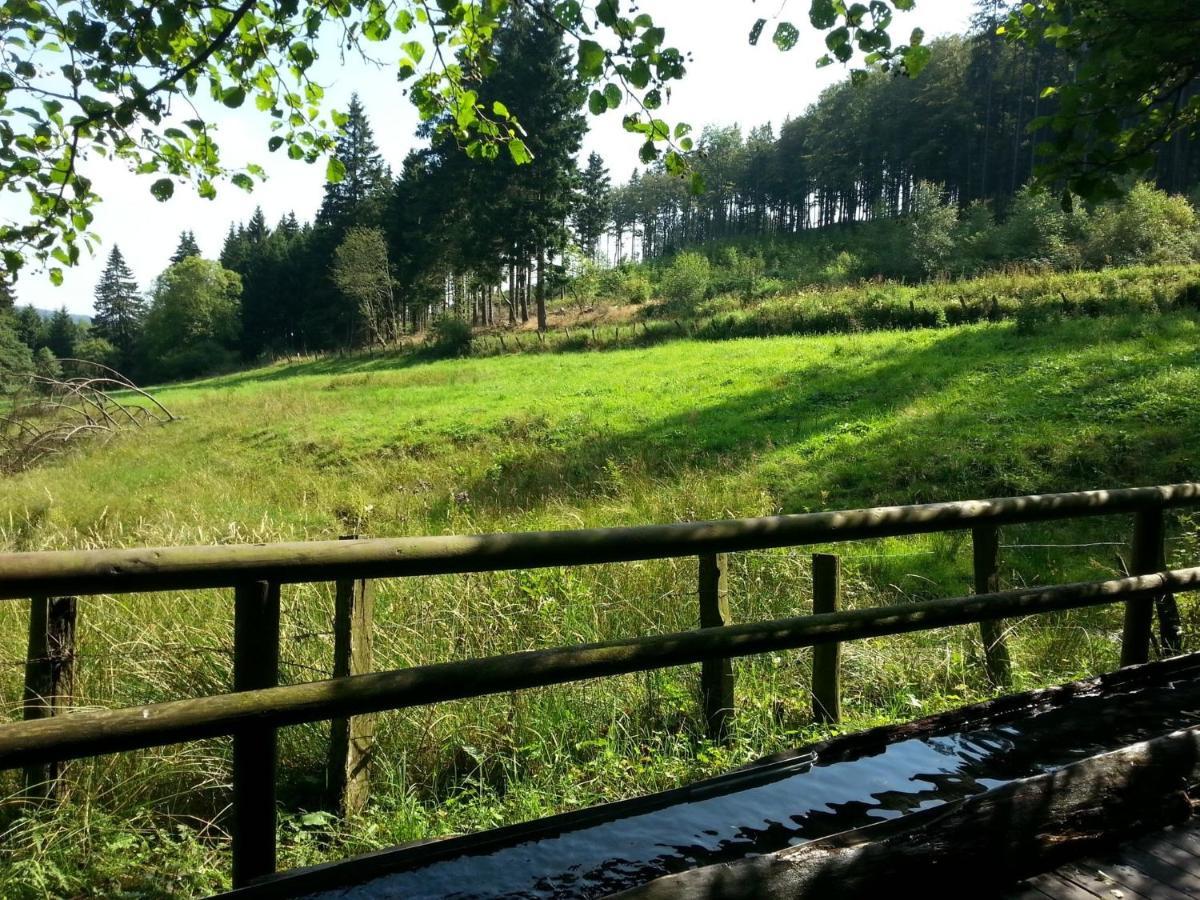 Cosy Apartment Over Usseln With Private Terrace Willingen  Bilik gambar
