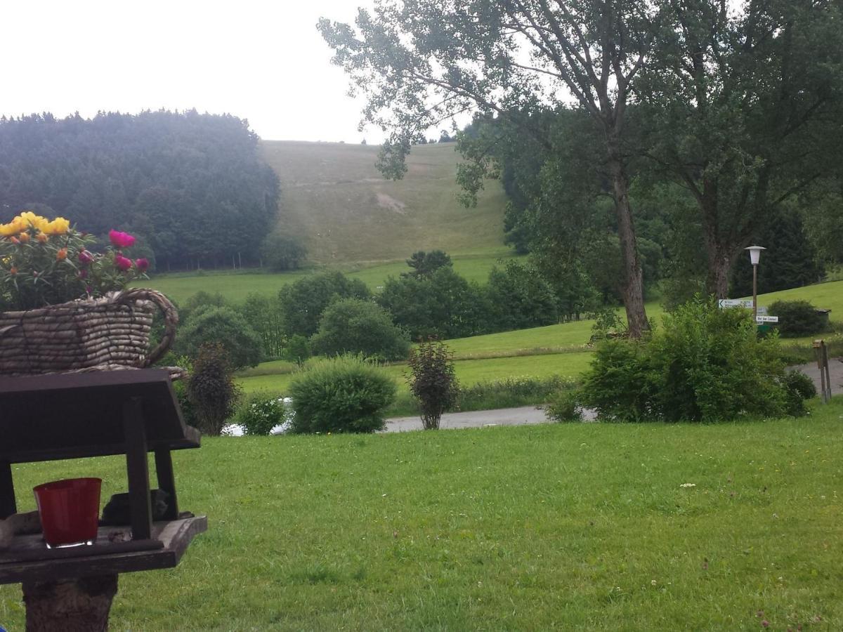 Cosy Apartment Over Usseln With Private Terrace Willingen  Luaran gambar