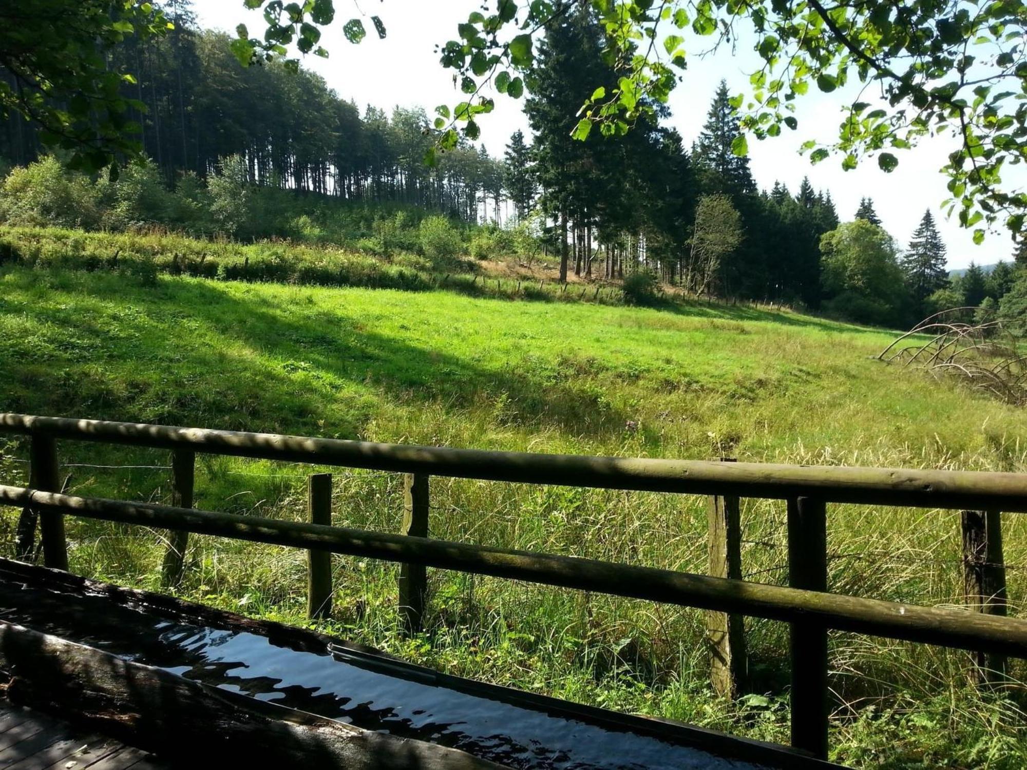Cosy Apartment Over Usseln With Private Terrace Willingen  Luaran gambar