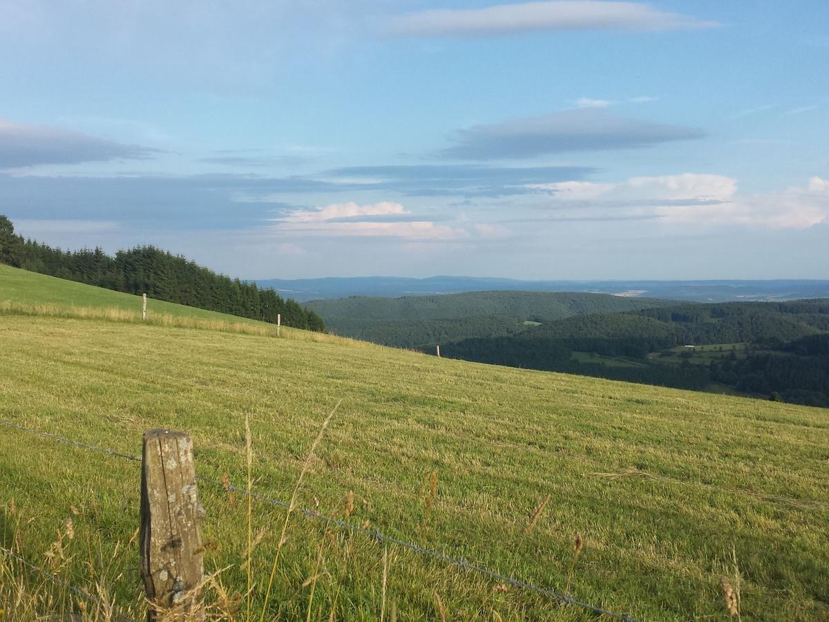 Cosy Apartment Over Usseln With Private Terrace Willingen  Luaran gambar